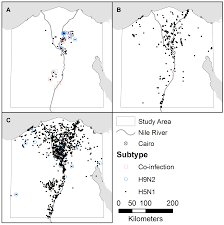 The study aim was to compare the performances of. Ijerph Free Full Text Predicting Avian Influenza Co Infection With H5n1 And H9n2 In Northern Egypt Html