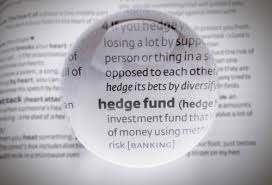 If you're seeing this message, it means we're having trouble loading external resources on our website. What Is A Hedge Fund Dummies