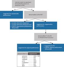 Magnetic Resonance Imaging For The Diagnosis Of Parkinson S Disease Springerlink