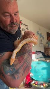 Already have a corn snake and looking for opinions