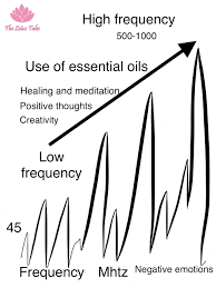 Energy Frequency And Essential Oils The Lotus Tales