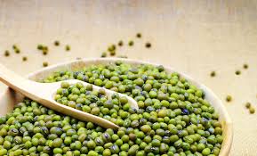 Mung Beans: A Tiny Powerhouse - TCM World