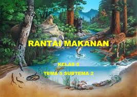 Contoh rantai makanan di hutan yang kedua yaitu rantai makanan yang. Rantai Makanan Flip Ebook Pages 1 17 Anyflip Anyflip