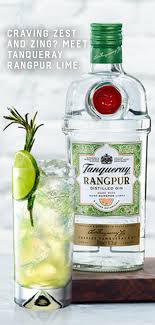 Gin Stays In In 2020 Tanqueray Drinks Alcohol Recipes Alcohol Drink Recipes