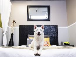 Good 358 hotels.com guest reviews. Bring Your Dog To The Shore New Jersey Pet Friendly Hotels And Inns Nj Next Events In New Jersey