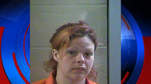 Deputies: Woman facing several charges after stealing van and running from  police