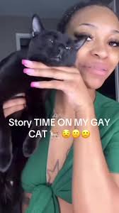 Do You Want Know How I Know My Cat Is Gay