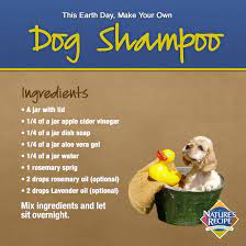 Nature S Recipe Natural Pet Food Home Homemade Dog Shampoo Diy Dog Shampoo Dog Shampoo