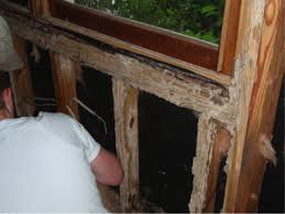 Many pesticides used to treat termites are highly toxic, however, following the label directions carefully or hiring a licensed exterminator minimizes risks. Diy Termite Control Not A Good Idea Part 2 Palmetto Exterminators