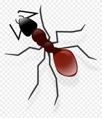 Confira está animação sobre a fábula, é muito bom e pode ser trabalhado em sala: Download Ant Png Transparent Image Formiga Desenho Png Png Download 1691x1920 179625 Pngfind