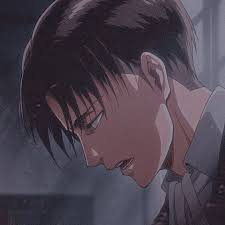 Levi Ackerman Aesthetic Icon
