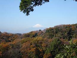View Of Mt Fuji From The Observation Area On A Hillside Behind Kenchoji Temple In Kamakura Kamakura Landmarks Natural Landmarks
