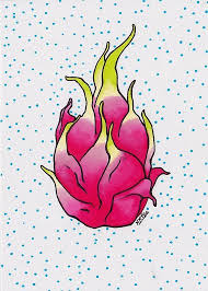 Pin By Shenanigans Malarkey On Label Reference Dragon Fruit Drawing Fruits Drawing Fruit Illustration Browse the user profile and get inspired. pinterest