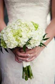 Pin On Heavenly Hydrangeas