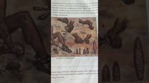 The burzahom archaeological site is located in the kashmir valley of the indian union territory of jammu and kashmir. Dav Social Studies Class6 Life Of Early Man Part1 Youtube