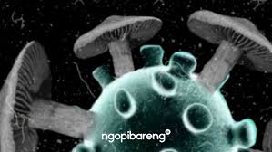 Sketsa gambar kupu kupu gambar mania sumber : Tsunami Covid 19 Di India Muncul Jamur Hitam Dan Putih