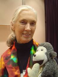 1 339 487 tykkäystä · 12 959 puhuu tästä. Jane Goodall Simple English Wikipedia The Free Encyclopedia