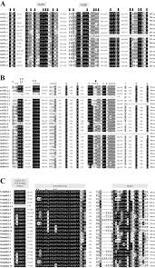 View the profiles of people named ana paula rodrigues correa. Identification And Characterization Of Core Abscisic Acid Aba Signaling Components And Their Gene Expression Profile In Response To Abiotic Stresses In Setaria Viridis Scientific Reports