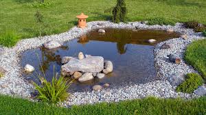 Image result for garden pond ideas