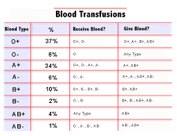 Bauerles Blog Blood Types