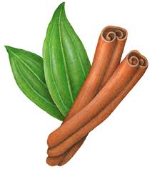 We did not find results for: Two Cinnamon Sticks Culinary Herbs Cinnamon Illustration Spices