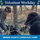 Conservation Stewards Workday: Greene Community Park