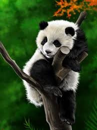 We did not find results for: Panda Old Mobile Cell Phone Smartphone Wallpapers Hd Desktop Backgrounds 240x320 Date Images And Pictures