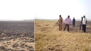 „farecompare padės jums rasti geriausius viešbučius ir palyginti kainas tarp pirmaujančių kelionių svetainių. Suspected Herdsmen Set Ortom S Rice Farm Ablaze Punch Newspapers