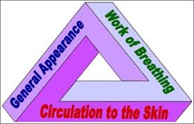 Image result for Pediatric Assessment Triangle