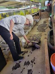 DNR strong-arms small pet shops in 'Operation Crusty Crab' by M.D. Kittle