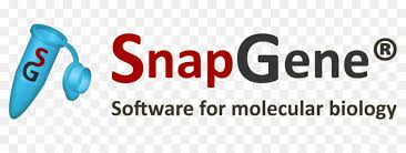 Check spelling or type a new query. Logo Jpn Jabatan Pendaftaran Negara Organisation Marke Schrift Gentechnisch Veranderte Nutzpflanzen Probleme Png Herunterladen 1476 555 Kostenlos Transparent Text Png Herunterladen