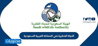 لبعض حالات العدوى المنقولة جنسيًا علامات وأعراض مشابهة للعدوى الفطرية أو التهاب المهبل البكتيري. Ø§Ù„Ø­ÙŠØ§Ø© Ø§Ù„ÙØ·Ø±ÙŠØ© ÙÙŠ Ø§Ù„Ù…Ù…Ù„ÙƒØ© Ø§Ù„Ø¹Ø±Ø¨ÙŠØ© Ø§Ù„Ø³Ø¹ÙˆØ¯ÙŠØ© Ù…ÙˆÙ‚Ø¹ Ù…Ø­ØªÙˆÙŠØ§Øª