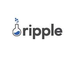 Facebook's libra faces 'headwinds' on trust, says ripple ceo. Why Is Ripple S Price Crashing Coin Rivet