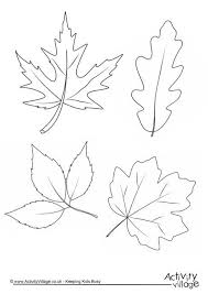 Danussa autumn falling leaves colorful background over white. Autumn Leaves Colouring Page Leaf Coloring Page Autumn Leaf Color Leaf Drawing