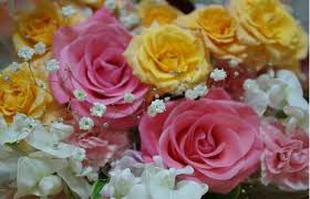 Feb 27, 2013 · when my dad died there were more flower arrangements at the funeral home than we could count. About Japan Tarch S Version The Japanese Manners Of Visiting A Patient In A Hospital