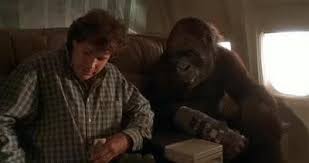 Martini, blunt, sky diving, and tickle parties. Crazy Childhood Congo Retro Junk Article