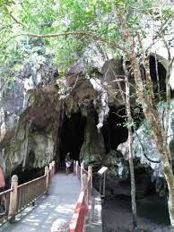 While easily accessible on the kilim river, you will need to take a boat to reach this cave. Mangrove Tour Bat Cave Picture Of Dev S Adventure Tours Langkawi Tripadvisor