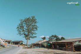 Nhóm 31 tỉnh thành có dân số thuộc nhóm 2. Cac Ä'á»‹a Ä'iá»ƒm Du Lá»‹ch á»Ÿ Báº¯c Káº¡n Cáº­p Nháº­t 05 2021 ChÆ¡i Gi á»Ÿ Báº¯c Káº¡n