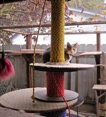 I Made This Cat Tree Scratching Posts Out Of Free Cable Spools For My Cats In Their Cat Pen Catio They C Cat Tree Scratching Post Cat Scratching Post Cat Pen