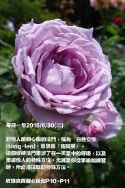 每日ㄧ句2015 6 30 二 對他人敞開心胸的法門 稱為 自他交換 tong len 意思是 施與受 這個修持法門牽涉了在一天當中的呼吸 以及思慮他人的特殊方法 尤其當你從事瑜伽練習時 所必須採取的特殊方法 收錄自西藏心瑜伽p buddha quotes diamond cutter