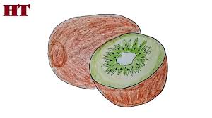 How To Draw A Kiwi Fruit Step By Step Easy Drawings Fruits Drawing Elephant Drawing