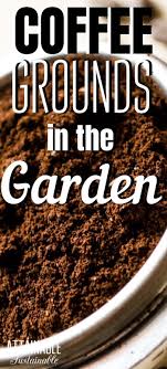 To use coffee grounds as fertilizer, simply sprinkle them onto the soil surrounding your plants. Using Coffee Grounds In The Garden Uses For Coffee Grounds Coffee Grounds Garden Coffee