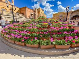 The author then goes into great detail describing each flower and its vibrant. On Today S Episode Of Why Is This Here In Disney World Disney Food Restaurants Disney Vacation Club Members