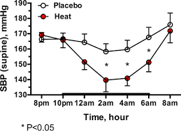 Image result for Local Heat Therapy