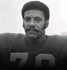 Minnesota Vikings team paint color suggestions