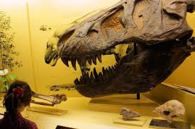 Schloss Nymphenburg Museum Mensch Und Natur Kimapa Kids On Tour Kimapa