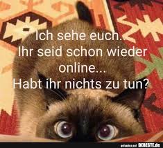 Ich Sehe Euch In 2020 Guten Morgen Lustig Lustig Lustige Bilder