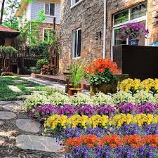 The first step towards a plastic pollution solution is learning how to reduce plastic use. Hanging Plant Zonlong Artificial Flowers For Garden 4 Bundles Fuchsia Fake Flowers Plant Wedding Farmhouse Indoor Or Outdoor Etc Decor Uv Resistant No Fade Faux Flower Home Decor Artificial Plants Flowers