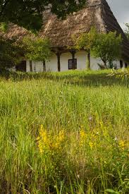 Pentru multe persoane, alimentaţia şi mişcarea zilnică reprezintă o adevărată provocare. Baia Mare Beautiful Places To Visit Visit Romania The Beautiful Country