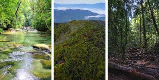 Ada satu lagi hutan lipur iaitu hutan lipur lata tembakah. Top 41 Tempat Menarik Di Terengganu 2021 Yang Femes Best
